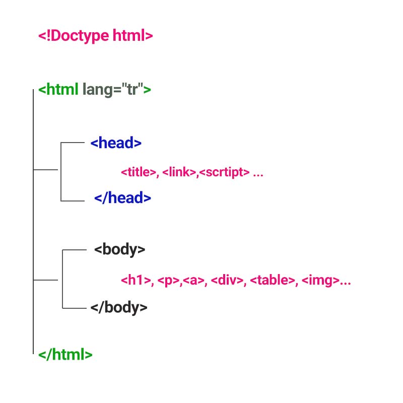 HTML Head ve Body Etiketleri