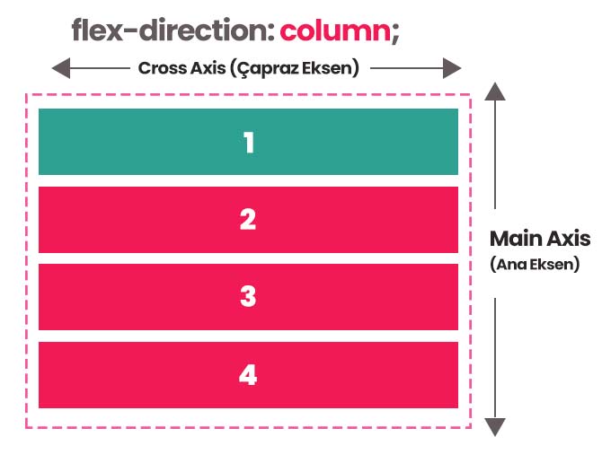 flex-direction column ekseni