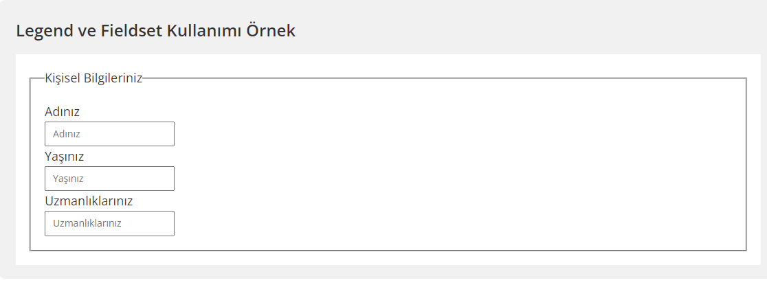 Legend & Fieldset Örneği